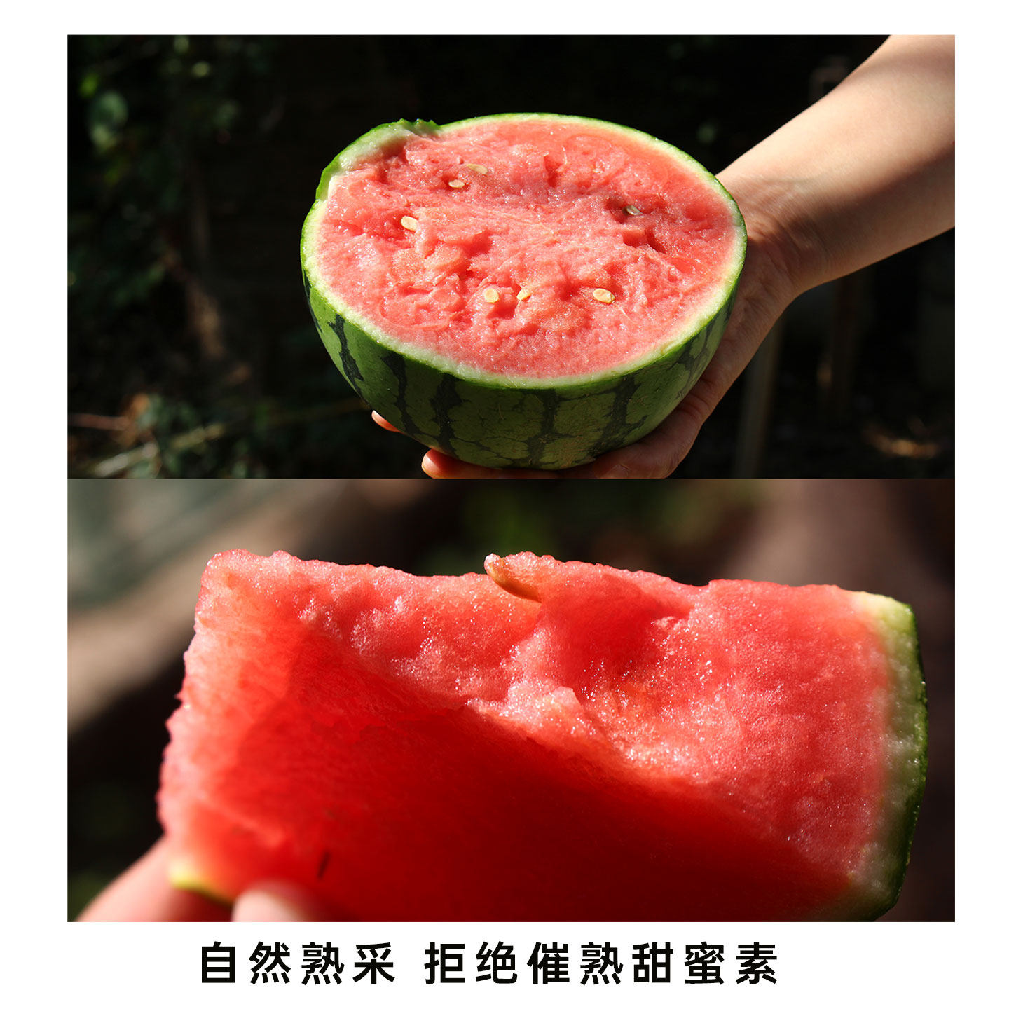 池见 庞各庄西瓜正宗北京大兴L600新鲜小吊瓜水果甜手撕小西瓜,淘宝优惠券,粉丝福利购,淘宝优惠卷