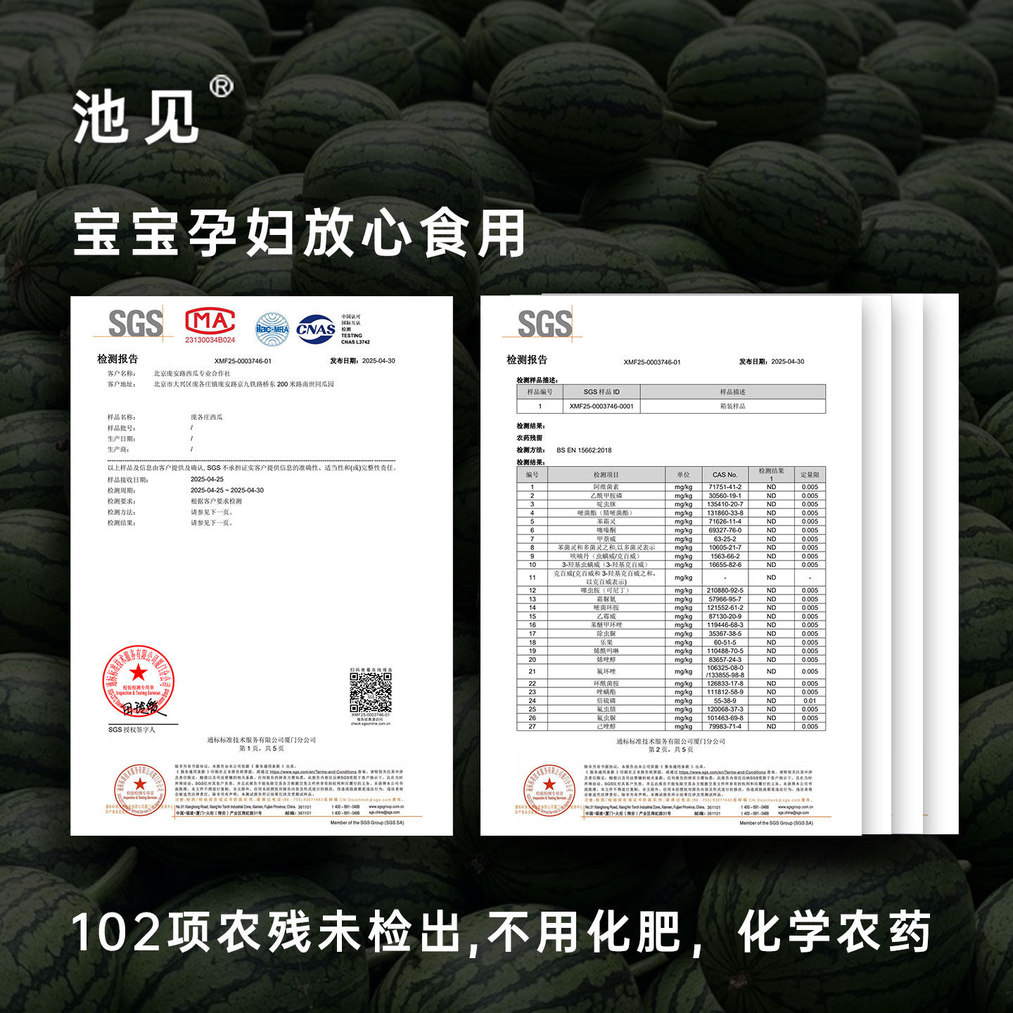 池见 庞各庄西瓜正宗北京大兴L600新鲜小吊瓜水果甜手撕小西瓜,淘宝优惠券,粉丝福利购,淘宝优惠卷