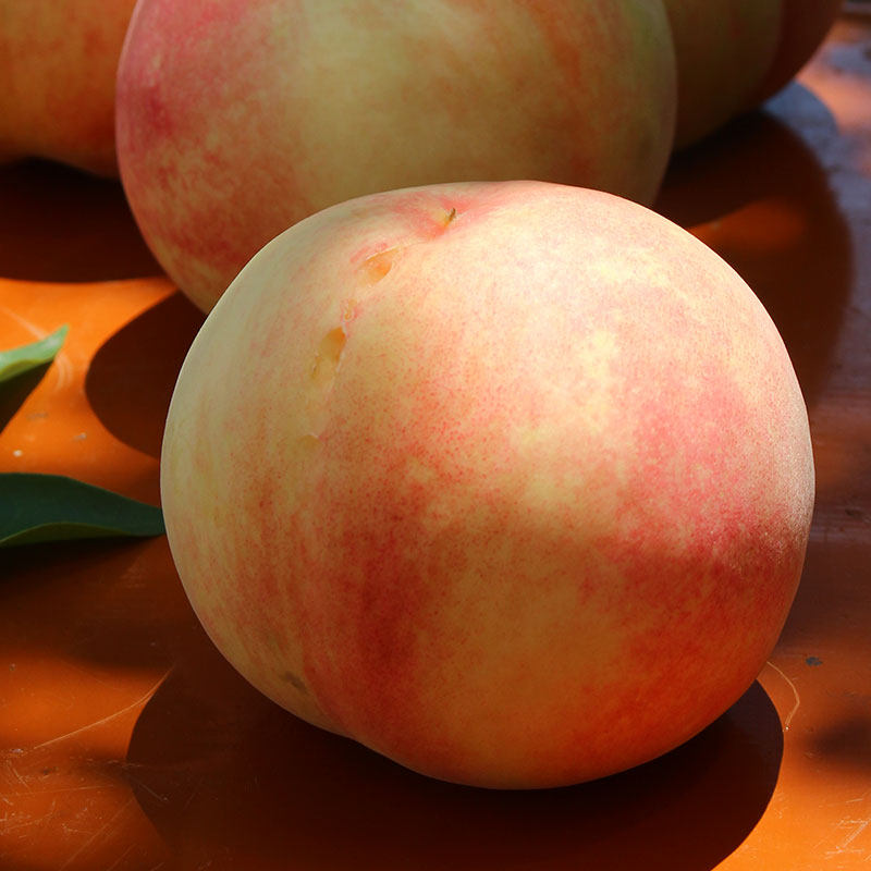 池见 正宗龙泉驿白凤桃晚湖景水蜜桃当季新鲜时令水果软桃子,淘宝优惠券,粉丝福利购,淘宝优惠卷