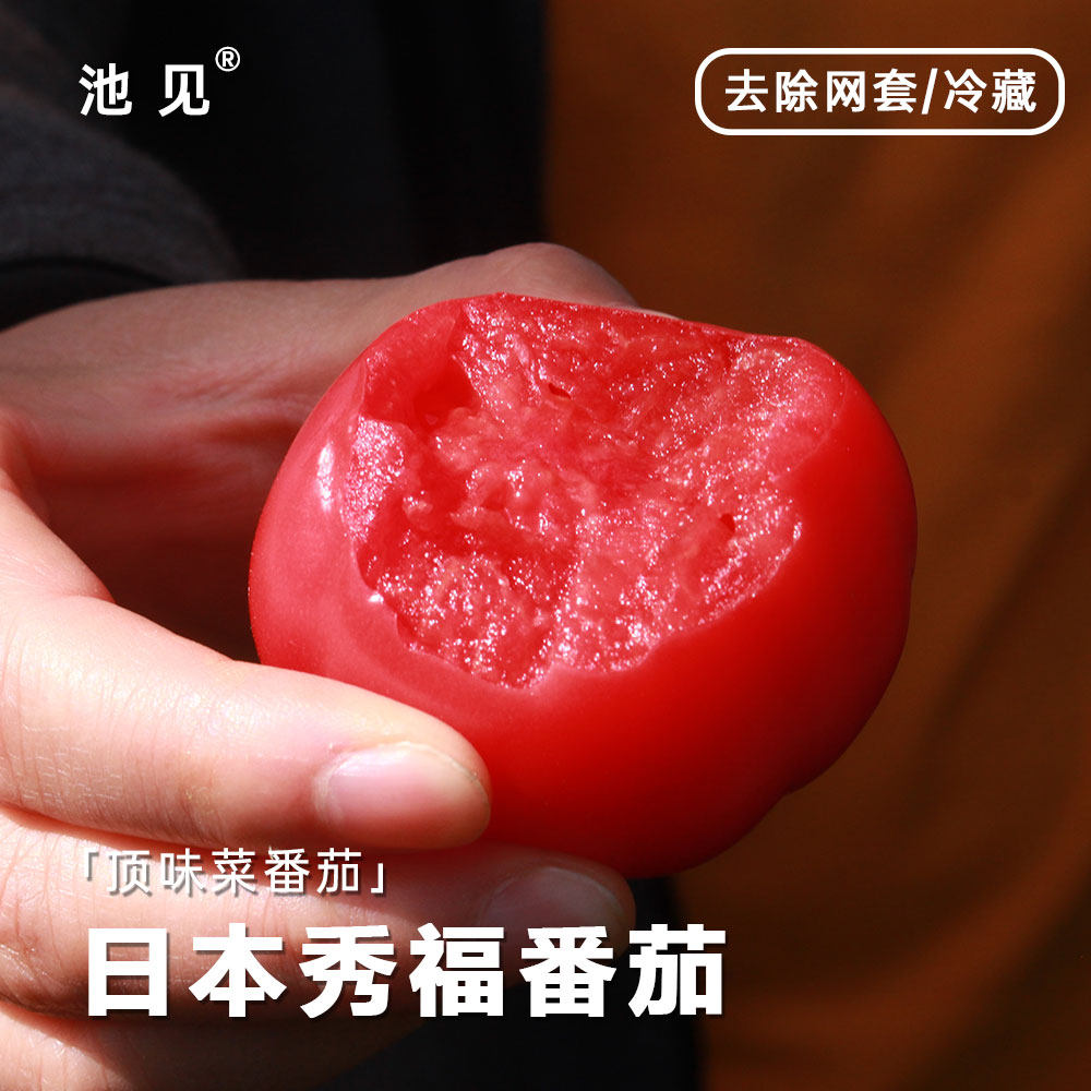 池见 自然成熟 日引秀福番茄土番茄西红柿新鲜蔬菜沙瓤番茄可生吃,淘宝优惠券,粉丝福利购,淘宝优惠卷