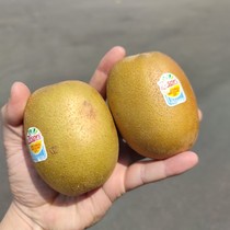 Huge fruit magnate New Zealand golden fruit chic exotic fruit 18 boxes 170-200g