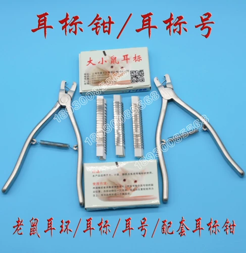 Большие мышиные ушные ушные крысы для ушей ушей