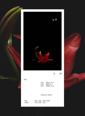 双头两用持久留香不撞香
