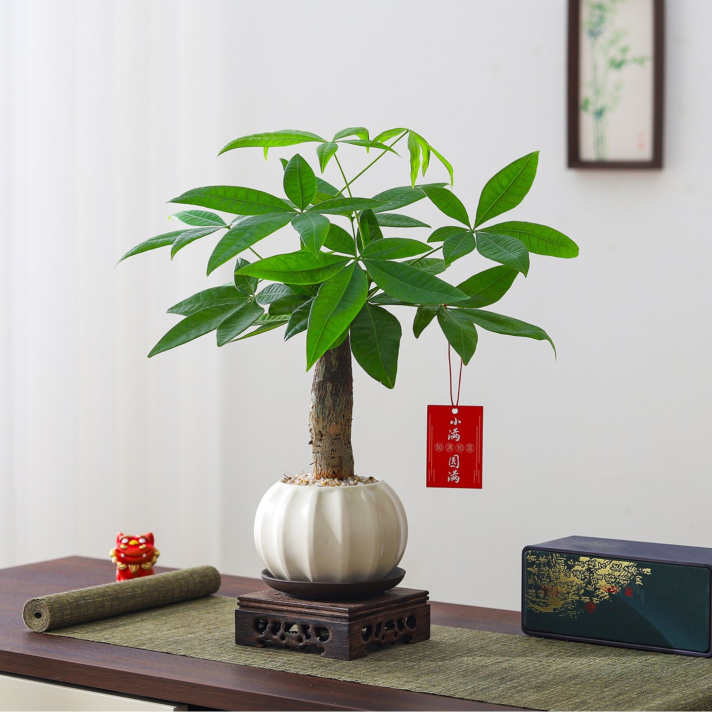 发财树盆栽室内客厅绿植办公室桌面四季好养活花卉招财运绿植盆栽 - 图1