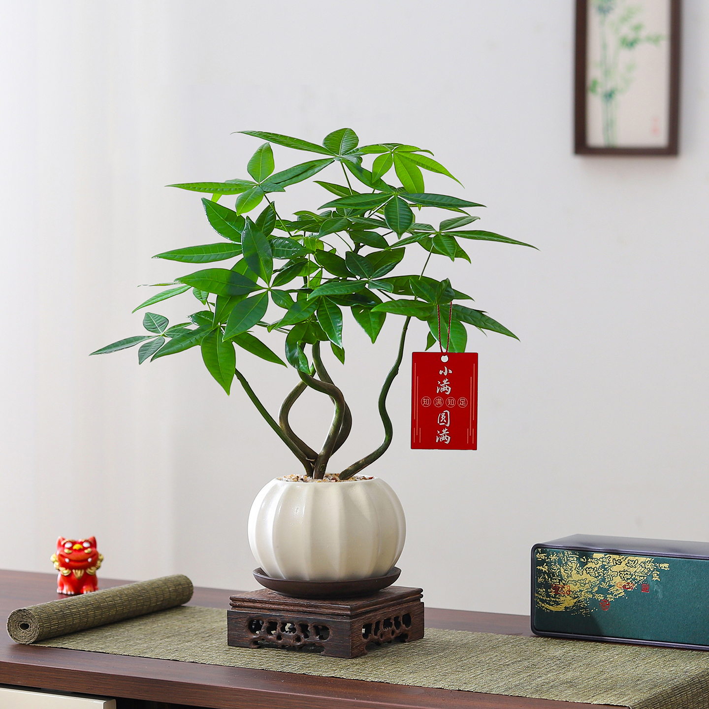 发财树盆栽室内客厅绿植办公室桌面四季好养活花卉招财运绿植盆栽 - 图0