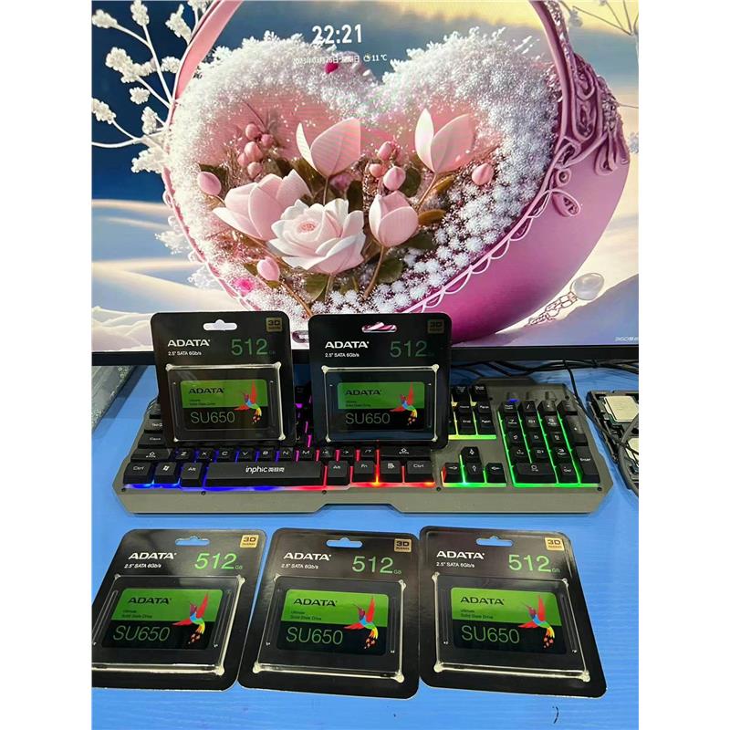 AData/威刚 SU650/SP580 240G 256G 480G 512GSSD台式机 固态硬盘 - 图1