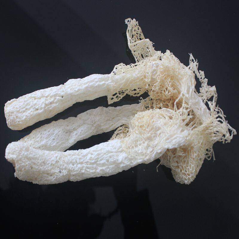 福建竹荪干货深山农家竹荪三明特产竹笙菌菇长裙竹孙新货 200g_虎窝淘