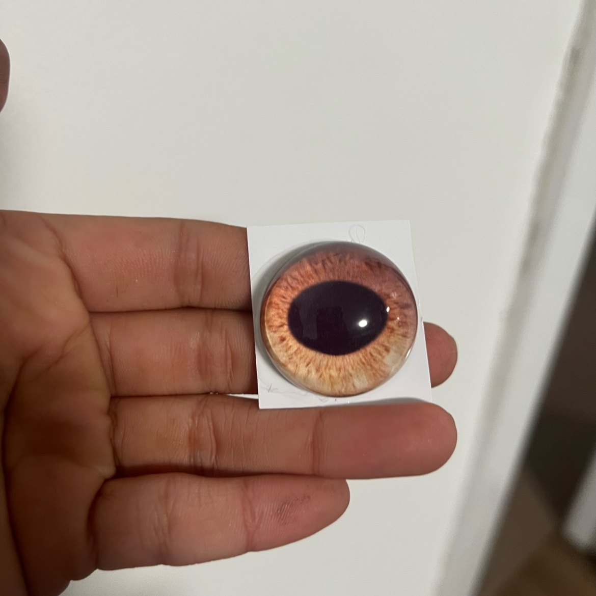 写实牛兽头兽装标本玩偶半球玻璃眼睛毛毡动物圆瞳仿真眼捏捏福瑞,淘宝优惠券,粉丝福利购,淘宝优惠卷