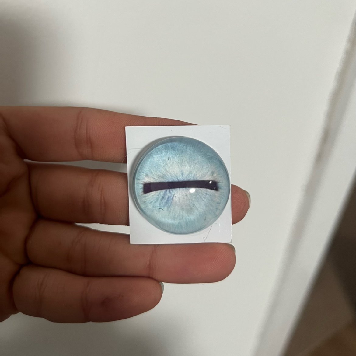 蜥蜴守宫兽头标本玩偶半球玻璃眼睛毛毡动物圆瞳仿真眼捏捏福瑞,淘宝优惠券,粉丝福利购,淘宝优惠卷