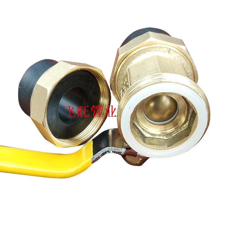 PE自来水管管件配件PE双头活接铜球阀热熔管阀门20 25 32 4分 6分 - 图1