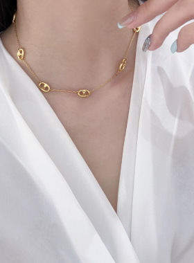 简约时尚精致气质百搭猪鼻子项链配饰女夏季轻奢小众高级感锁骨链