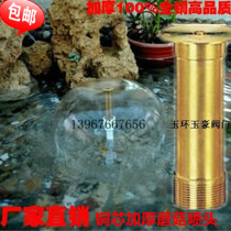 Boutique Total Copper Mushroom Nozzle Hemisphere Nozzle Pool Nozzle Fountain Sprinkler Head Fish Pool Nozzle Park 4 points 6 points