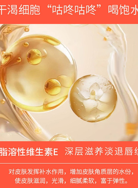 日本芦荟维他命e保湿学生润唇膏