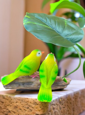 阳台庭院花园爱情鸟装饰造景