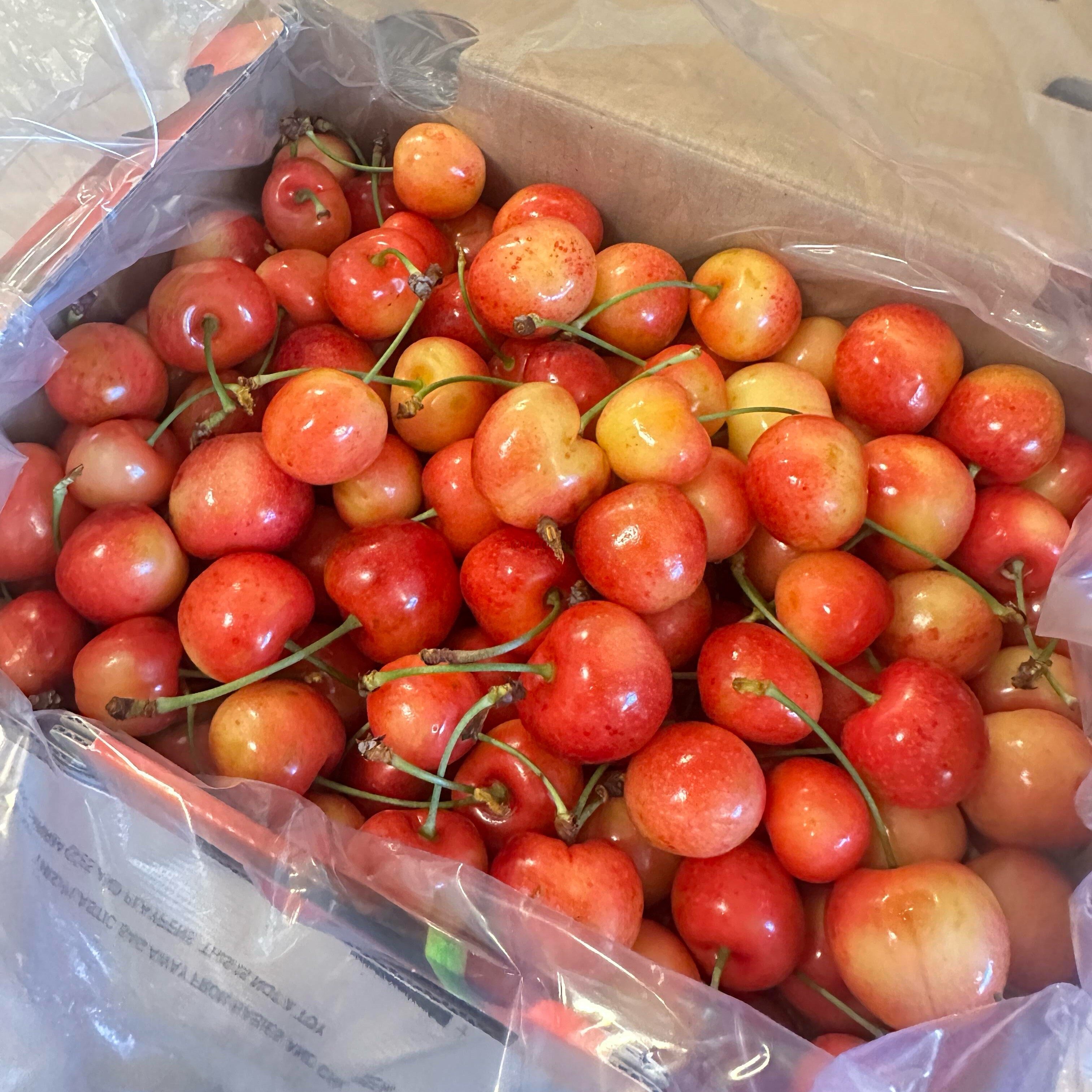 现货智利进口雷尼尔黄金车厘子新鲜水果4JJJJ黄色大樱桃2斤礼盒,淘宝优惠券,粉丝福利购,淘宝优惠卷