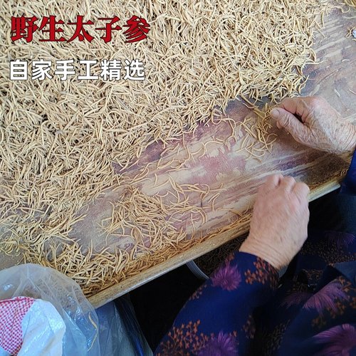 正宗纯野生太子参250g特级健脾胃中药材儿童成长汤料天然生晒无硫 - 图1