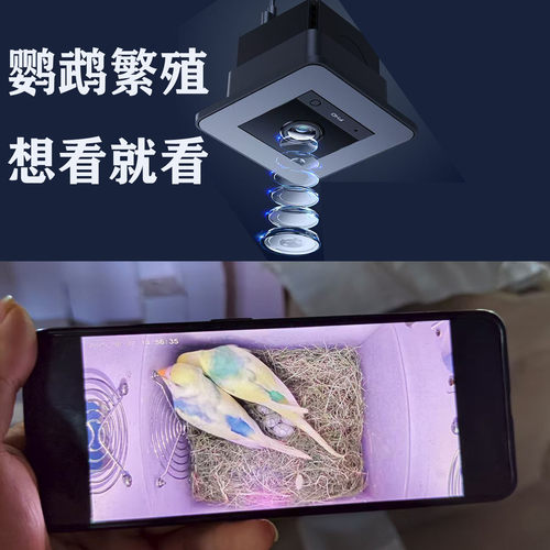 摄像头鹦鹉繁殖箱微距高清无光夜视手机无线WIFI 插内存卡免广告 - 图2