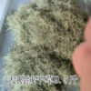 Haisheng Happy Forest Parrot Breeding Box Cushion