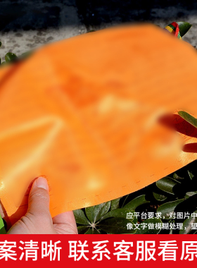 十合一幡布五色20面户外悬挂