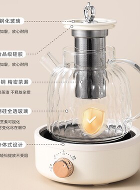 养生壶110v电压伏出口美规玻璃恒温壶多功能全自动煮茶器电水壶煎