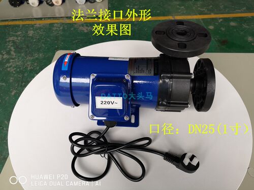 DATTO大头马CQF-120R(220V)耐腐蚀磁力泵 耐颗粒物磁力泵 化工泵 - 图0