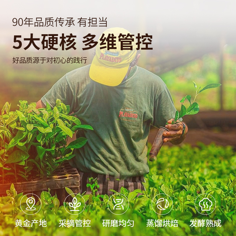 阿根廷原装进口纯马黛茶叶养生解腻袋泡茶饮马代茶包-第2张图片-提都小院