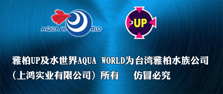 台湾雅柏up仿真纹石陶罐f959系列全观赏虾慈鲷科逃避罐水族箱造景 - 图2