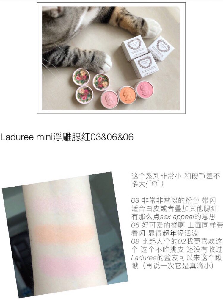 金魚花 新人首單立減十元 21年8月 淘寶海外