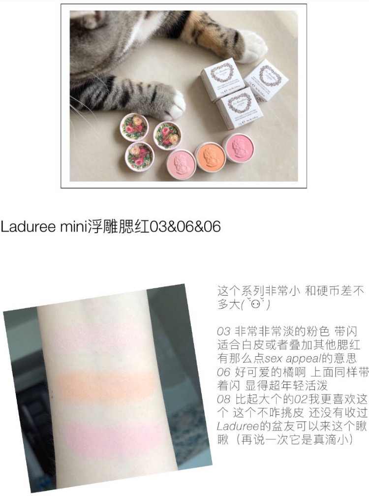 金鱼花包邮 新人首单立减十元 21年8月 淘宝海外