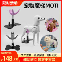 Ripet Magic Ladder MOTI Pet Assisted Standing Stent Beautician fixed dog small bench Anti-lying support seat