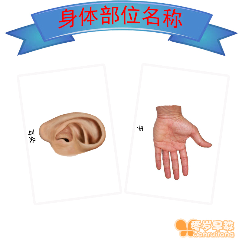 身体部位认知推荐品牌 新人首单立减十元 21年6月 淘宝海外 身体部位认知推荐品牌 新人首单立减十元 21年6月 淘宝海外