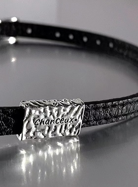 2026时尚黑色冷淡风皮革项链女轻奢小众复古简约精致百搭锁骨链