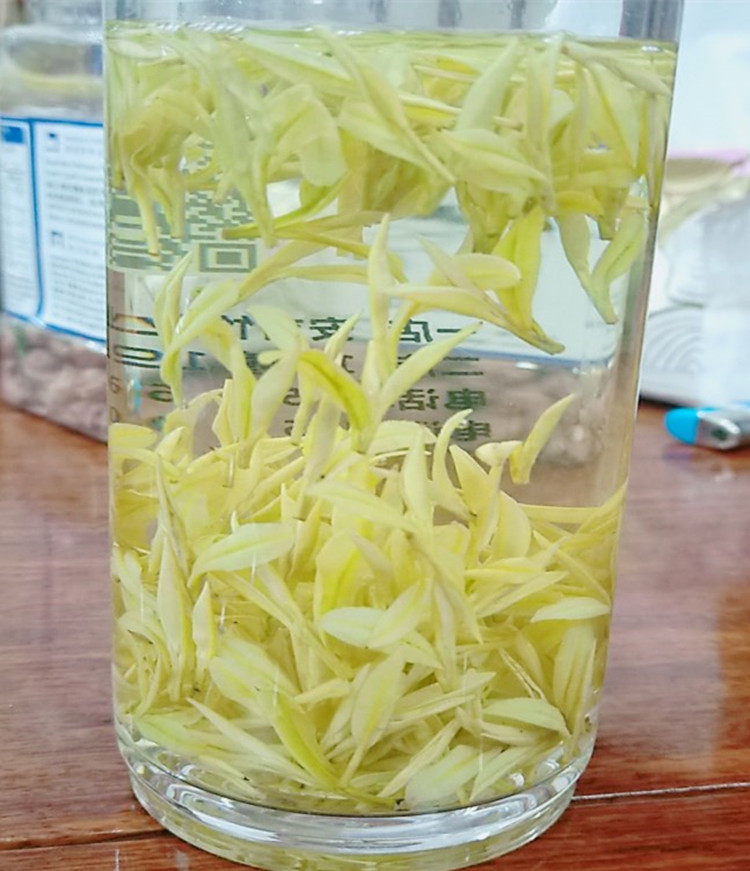 黄金芽奶白茶皇金极白茶叶2023年新茶安吉茶树特级正品罐装礼盒装