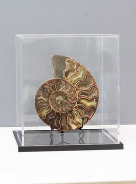 现代简约创意晶石亚克力罩子摆件桌面软装饰品工艺品样板房桌面