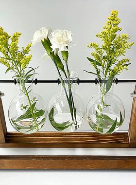 原木水培容器创意植物玻璃花瓶