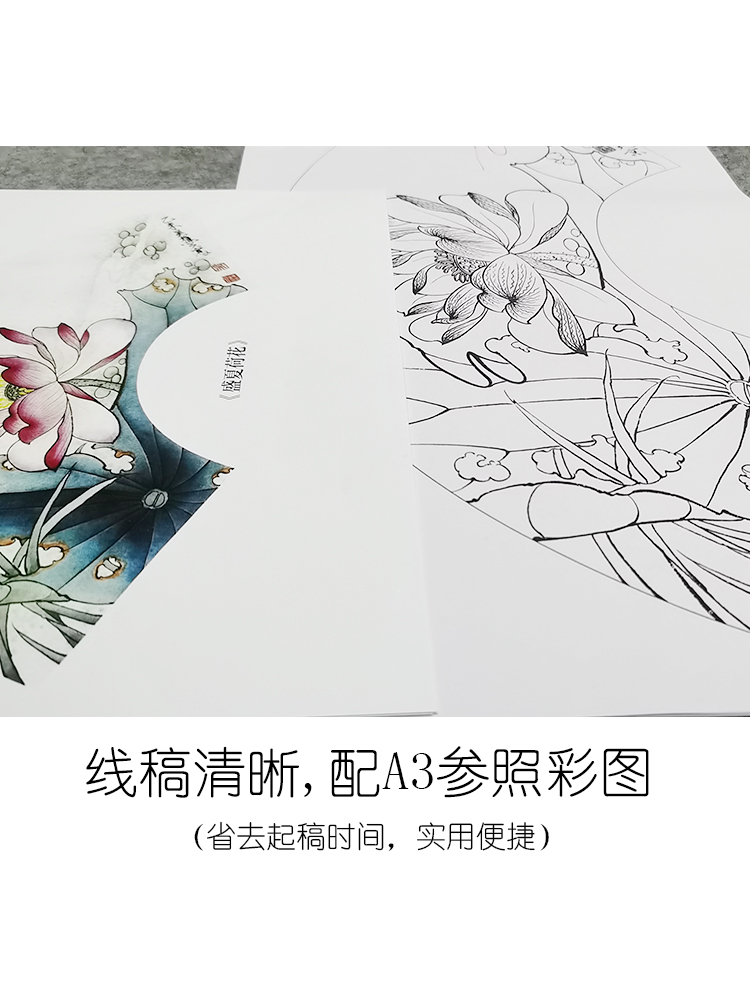 【送说明】工笔画白描底稿荷花花鸟扇面集共6幅尺寸66*33cm-09ZY-图0