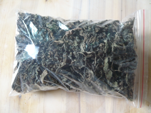 金鸡毛草菜长寿草救命草冬冬草 30-40厘米高特大苗 鲜叶干叶 盆栽 - 图2