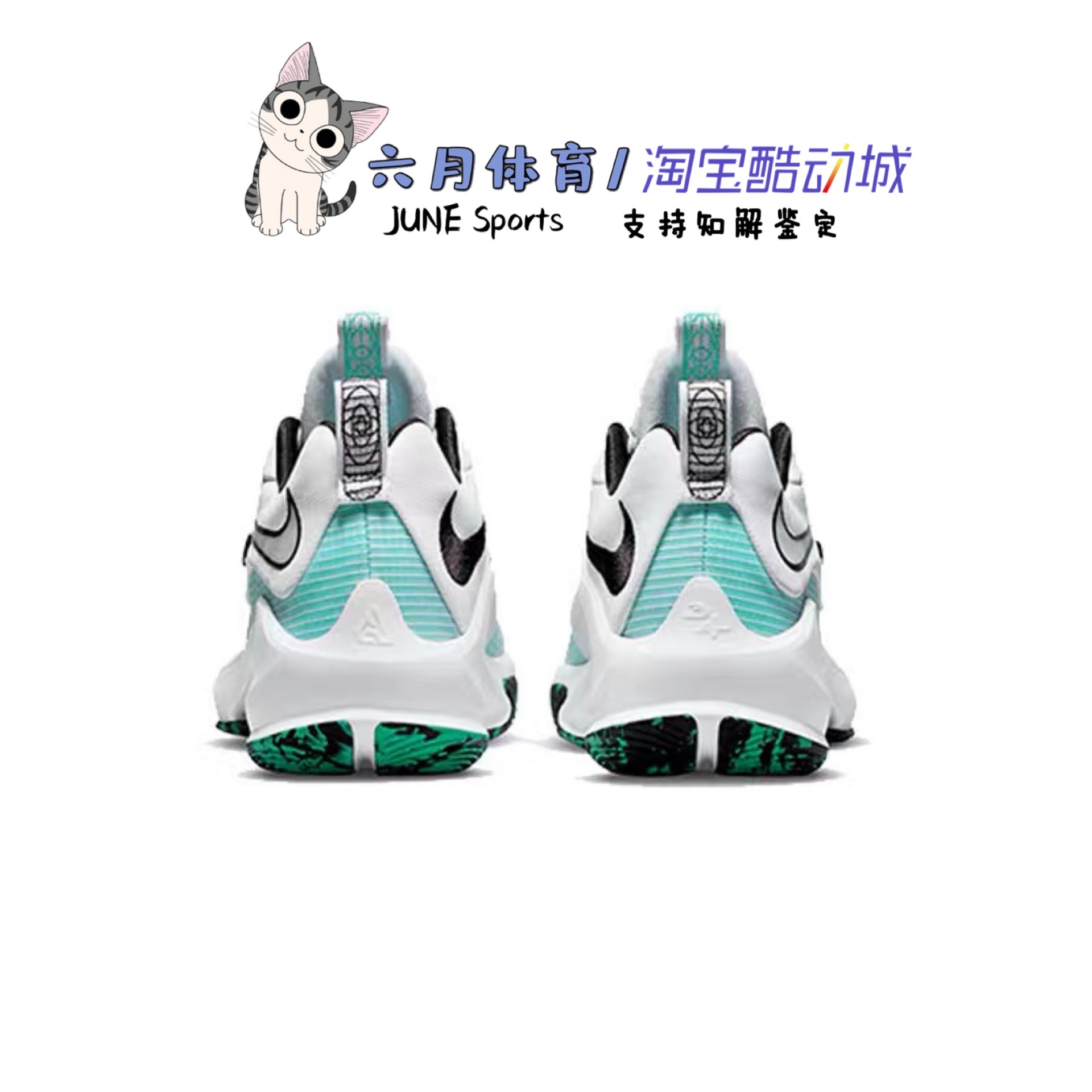 Nike耐克男鞋2021秋新款ZOOM FREAK 3 EP实战篮球鞋DA0695-101