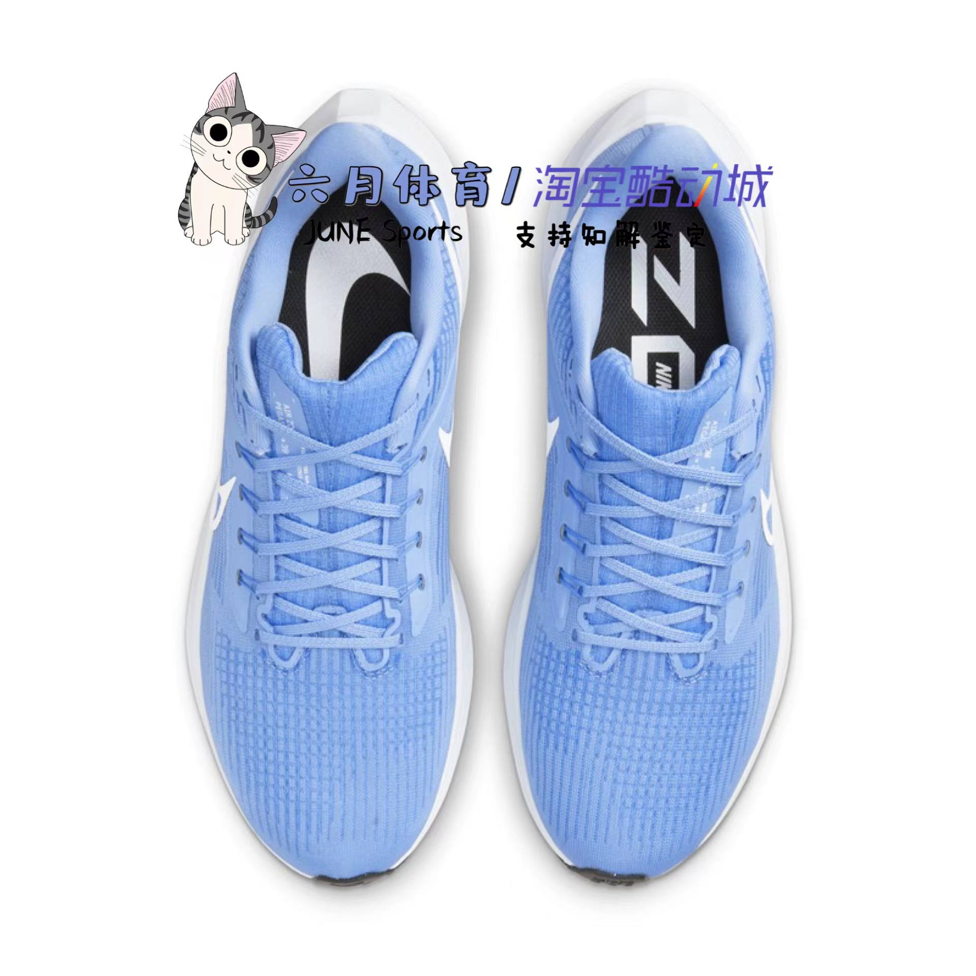 Nike Air Zoom Pegasus 飞马39男子白蓝缓震透气跑步鞋DM0164-404 - 图1