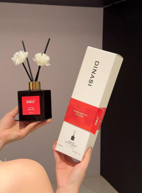 DINASI无火藤条香薰摆件清新祛味