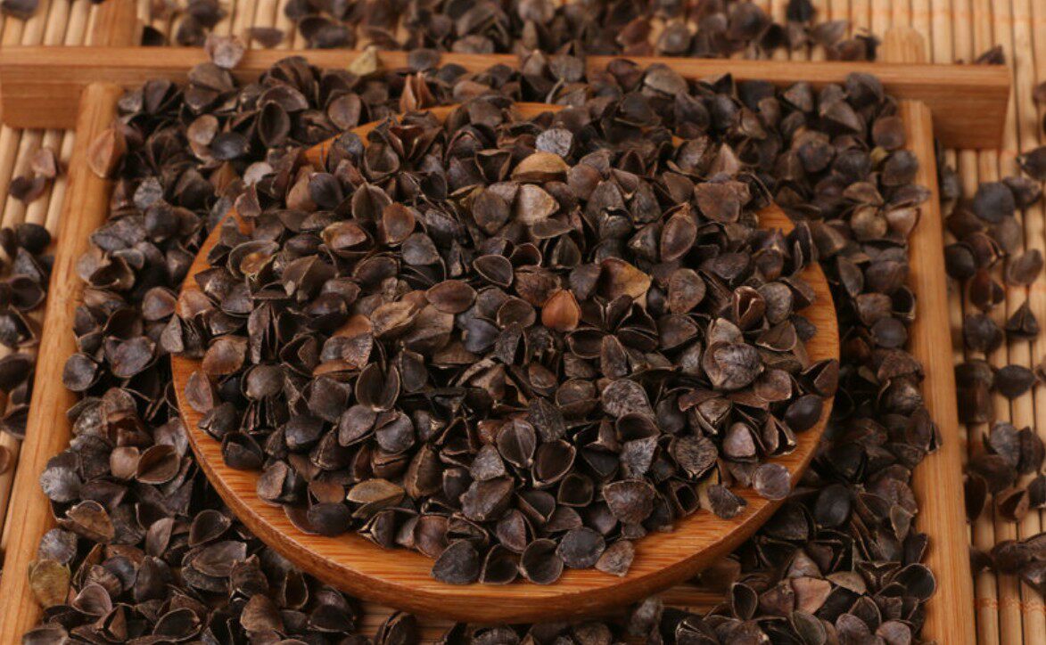 精选荞麦皮荞麦壳散装免洗成人甜荞麦皮做枕头枕芯保健枕填充颈椎,淘宝优惠券,粉丝福利购,淘宝优惠卷