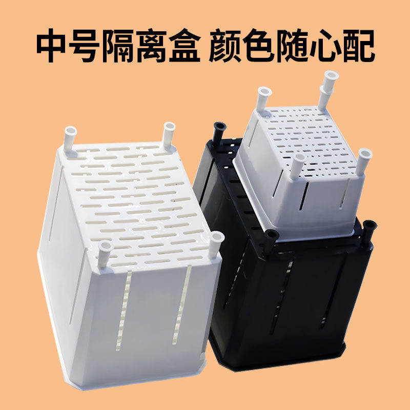 小、中号乌龟隔离盒宠物龟蛋龟加高防越狱黑色白色黄色高透明色好,淘宝优惠券,粉丝福利购,淘宝优惠卷