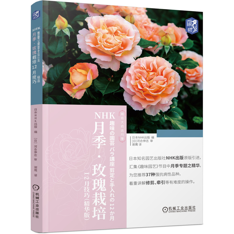 玫瑰花品种 新人首单立减十元 21年8月 淘宝海外
