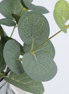 尤加利叶单支金钱叶假花绿植仿真植物婚庆插花配材装饰叶子假草