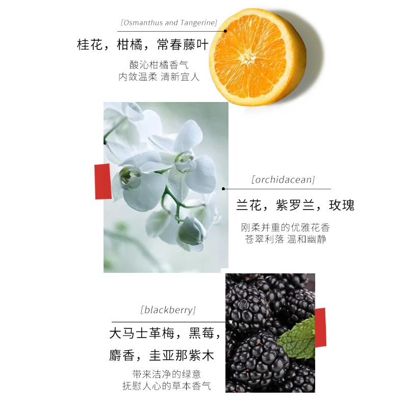 【Deold/递欧】高跟鞋礼盒香水