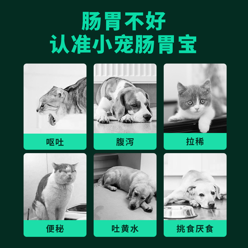 小宠肠胃宝猫咪益生菌狗狗肠胃调理宠物幼犬调理猫专用高活益生菌 - 图1