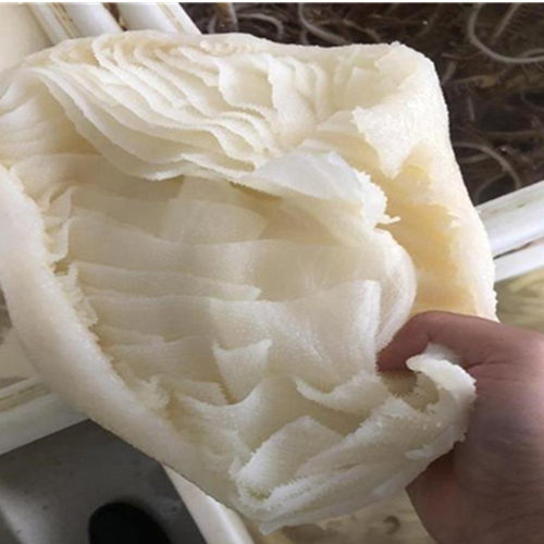 白毛肚水发水发牛百叶商用5斤装火锅食材千层肚牛肚冷冻整黑毛肚 - 图0