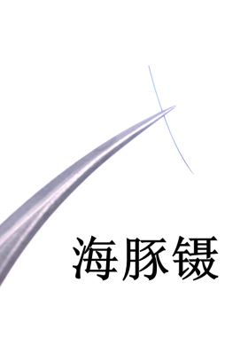 高精密美睫师专用分毛海豚镊子