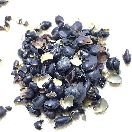 黑豆衣中药材黑豆皮乌豆衣500g黑豆青茬黑豆生剥皮豆衣包邮蚕豆 - 图3
