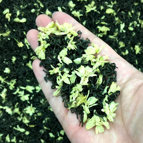 茉莉花茶2024新茶四川飘雪花茶花毛峰浓香特级散装耐泡茶叶500g-图1